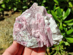 Natural Pink Rubellite Tourmaline Specimens x 3 From Karibib, Namibia - Toprock Gemstones and Minerals 