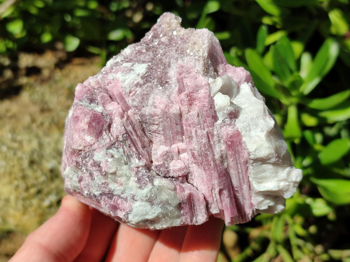 Natural Pink Rubellite Tourmaline Specimens x 3 From Karibib, Namibia - Toprock Gemstones and Minerals 