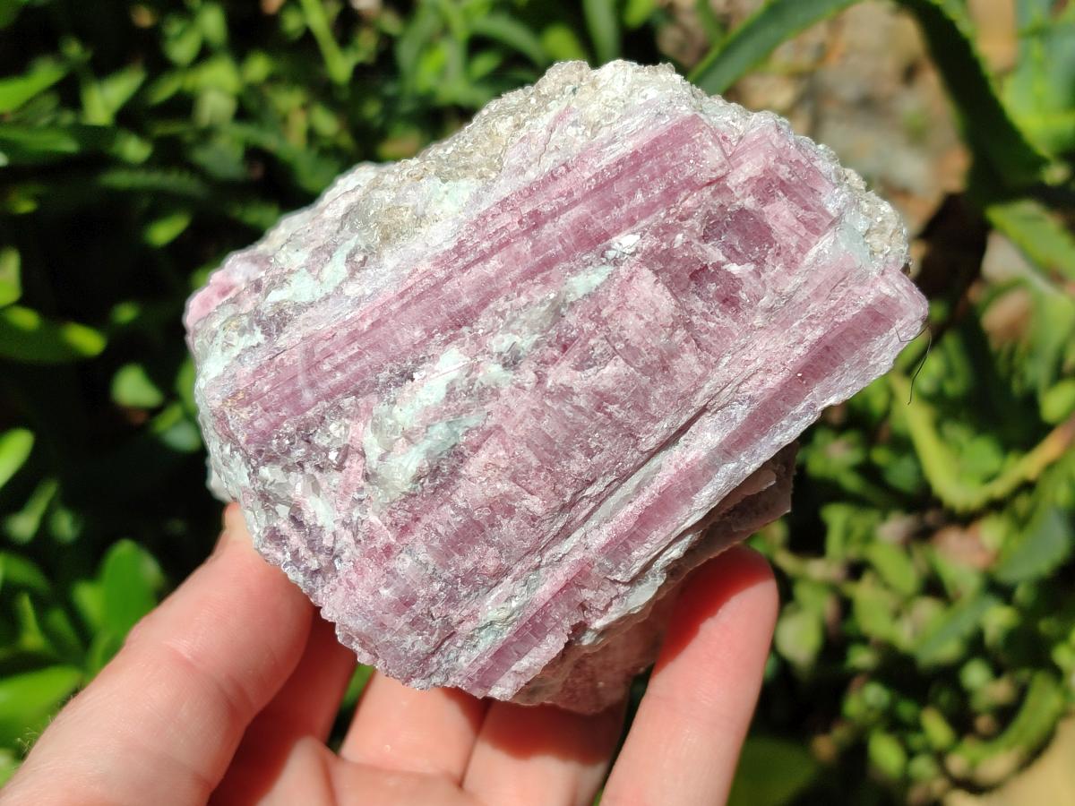 Natural Pink Rubellite Tourmaline Specimens x 3 From Karibib, Namibia - Toprock Gemstones and Minerals 