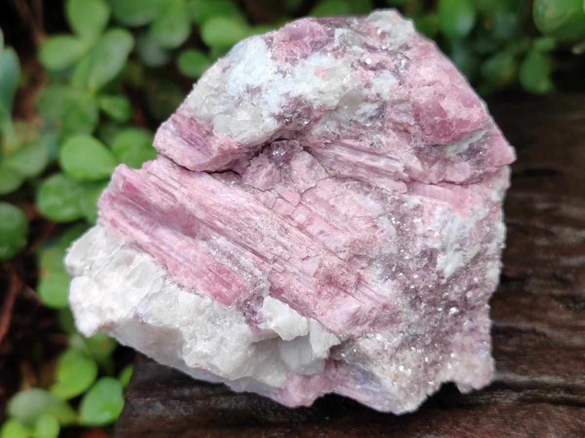Natural Pink Rubellite Tourmaline Specimens x 3 From Karibib, Namibia - Toprock Gemstones and Minerals 