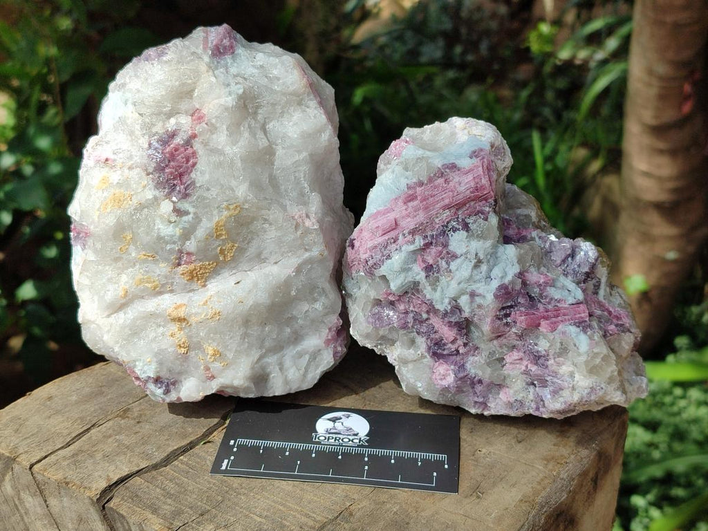 Natural Pink Rubellite Tourmaline Specimens x 3 From Karibib, Namibia - Toprock Gemstones and Minerals 