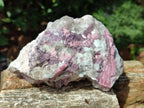 Natural Pink Rubellite Tourmaline Specimens x 3 From Karibib, Namibia - Toprock Gemstones and Minerals 
