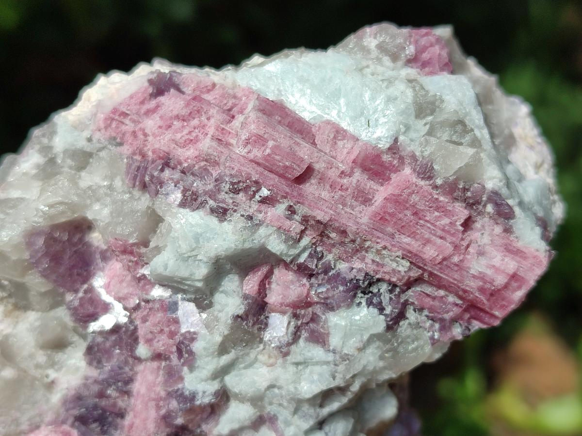 Natural Pink Rubellite Tourmaline Specimens x 3 From Karibib, Namibia - Toprock Gemstones and Minerals 