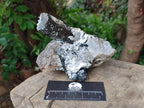 Natural Schorl Black Tourmaline with Associated Minerals x 2 From Erongo, Namibia - Toprock Gemstones and Minerals 