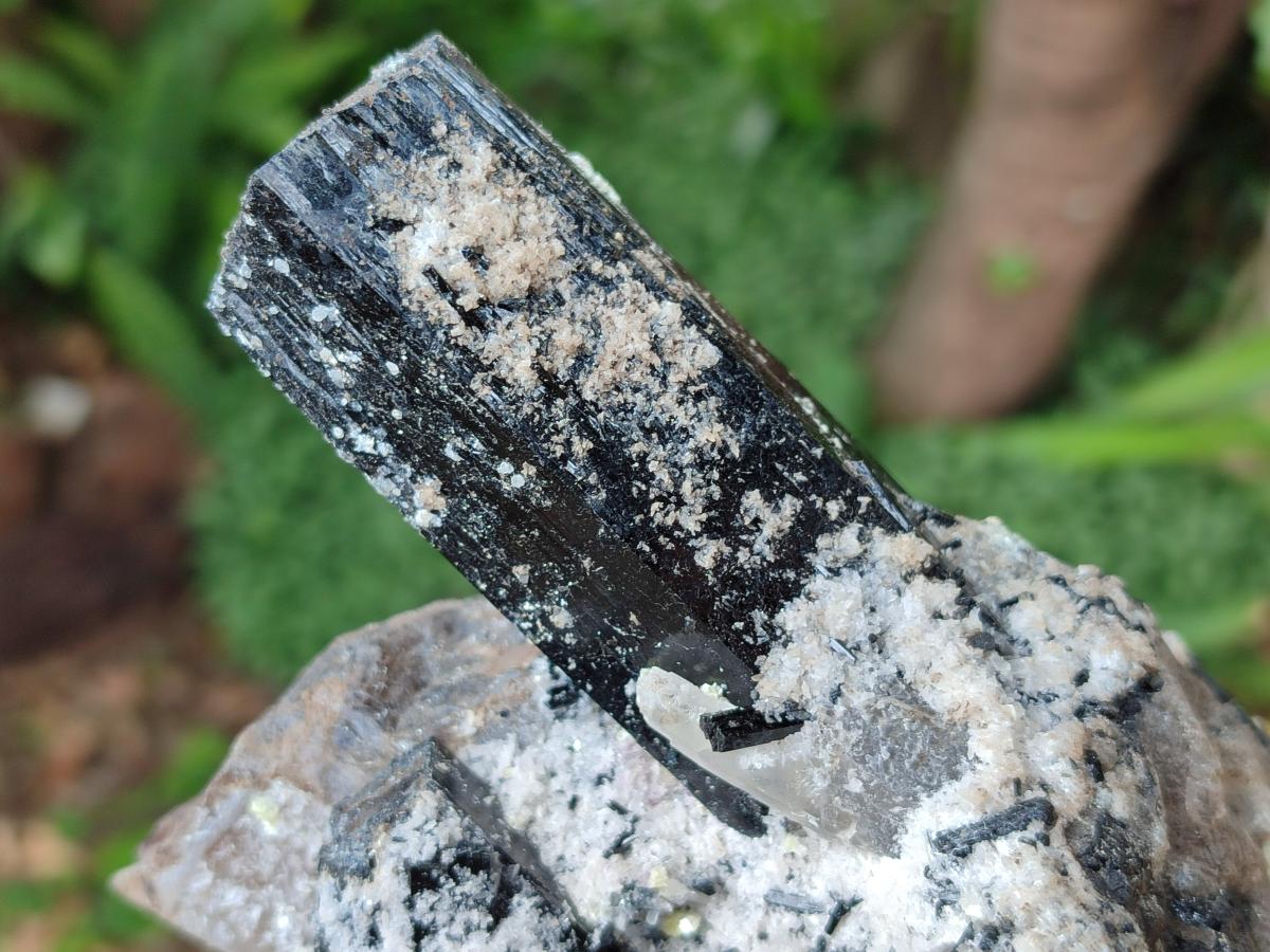 Natural Schorl Black Tourmaline with Associated Minerals x 2 From Erongo, Namibia - Toprock Gemstones and Minerals 