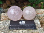 Polished Gemmy Star Rose Quartz Spheres x 7 From Madagascar - Toprock Gemstones and Minerals 