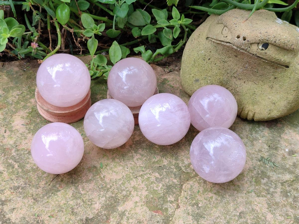 Polished Gemmy Star Rose Quartz Spheres x 7 From Madagascar - Toprock Gemstones and Minerals 