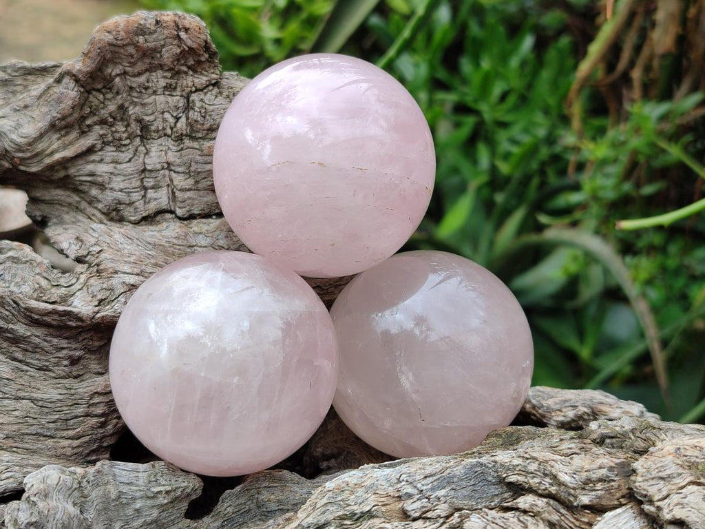 Polished Gemmy Star Rose Quartz Spheres x 7 From Madagascar - Toprock Gemstones and Minerals 