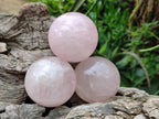 Polished Gemmy Star Rose Quartz Spheres x 7 From Madagascar - Toprock Gemstones and Minerals 
