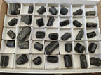 Natural Alluvial Schorl Black Tourmaline Crystals x 35 From Zimbabwe - Toprock Gemstones and Minerals 