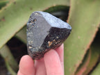 Natural Alluvial Schorl Black Tourmaline Crystals x 35 From Zimbabwe - Toprock Gemstones and Minerals 