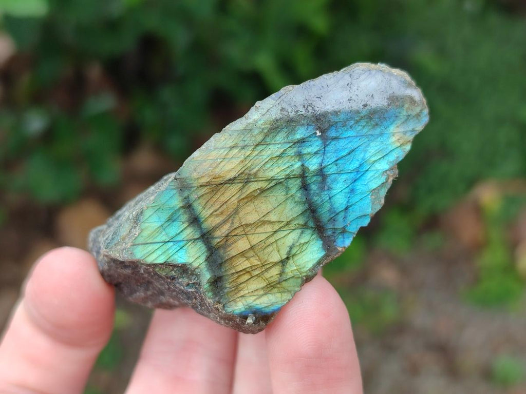 Polished One Side Labradorite Pieces x 24 From Madagascar - Toprock Gemstones and Minerals 