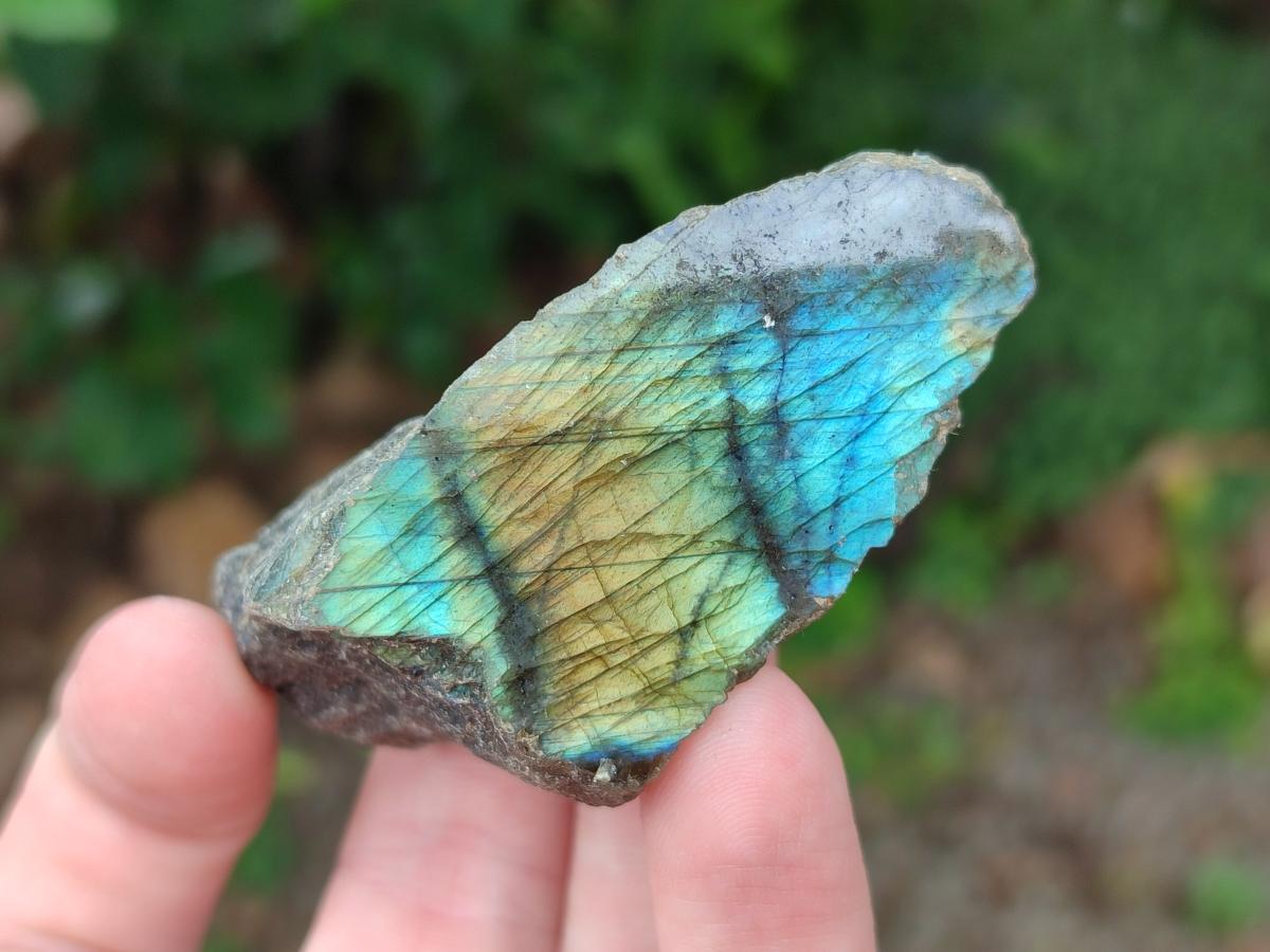 Polished One Side Labradorite Pieces x 24 From Madagascar - Toprock Gemstones and Minerals 