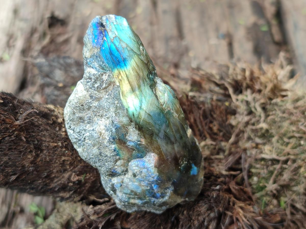 Polished One Side Labradorite Pieces x 24 From Madagascar - Toprock Gemstones and Minerals 