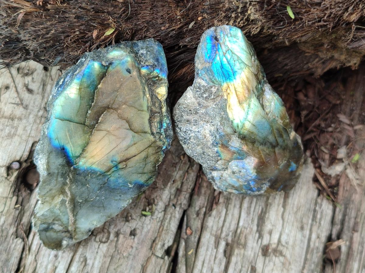 Polished One Side Labradorite Pieces x 24 From Madagascar - Toprock Gemstones and Minerals 