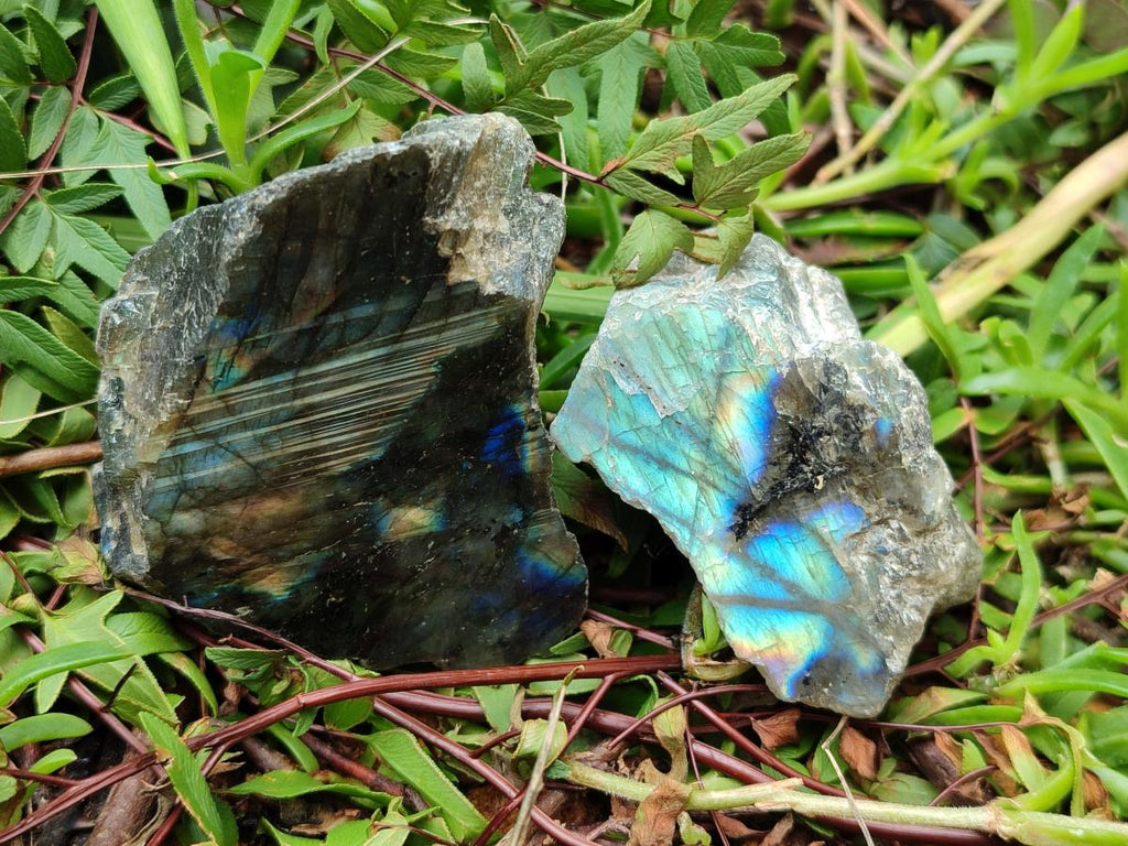 Polished One Side Labradorite Pieces x 24 From Madagascar - Toprock Gemstones and Minerals 