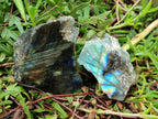 Polished One Side Labradorite Pieces x 24 From Madagascar - Toprock Gemstones and Minerals 