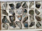 Polished One Side Labradorite Pieces x 24 From Madagascar - Toprock Gemstones and Minerals 
