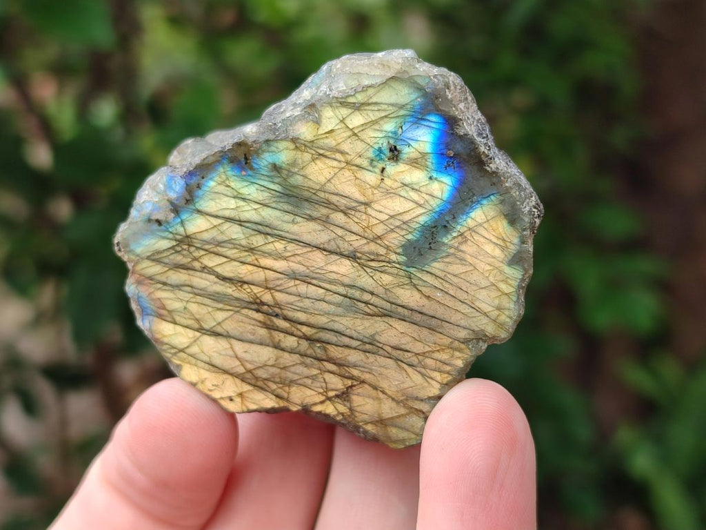 Polished One Side Labradorite Pieces x 24 From Madagascar - Toprock Gemstones and Minerals 