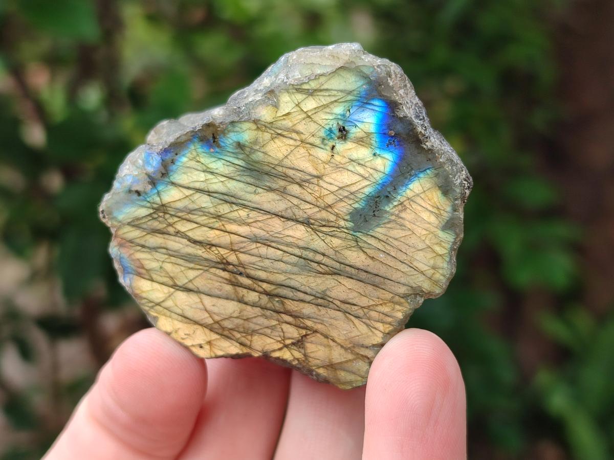 Polished One Side Labradorite Pieces x 24 From Madagascar - Toprock Gemstones and Minerals 
