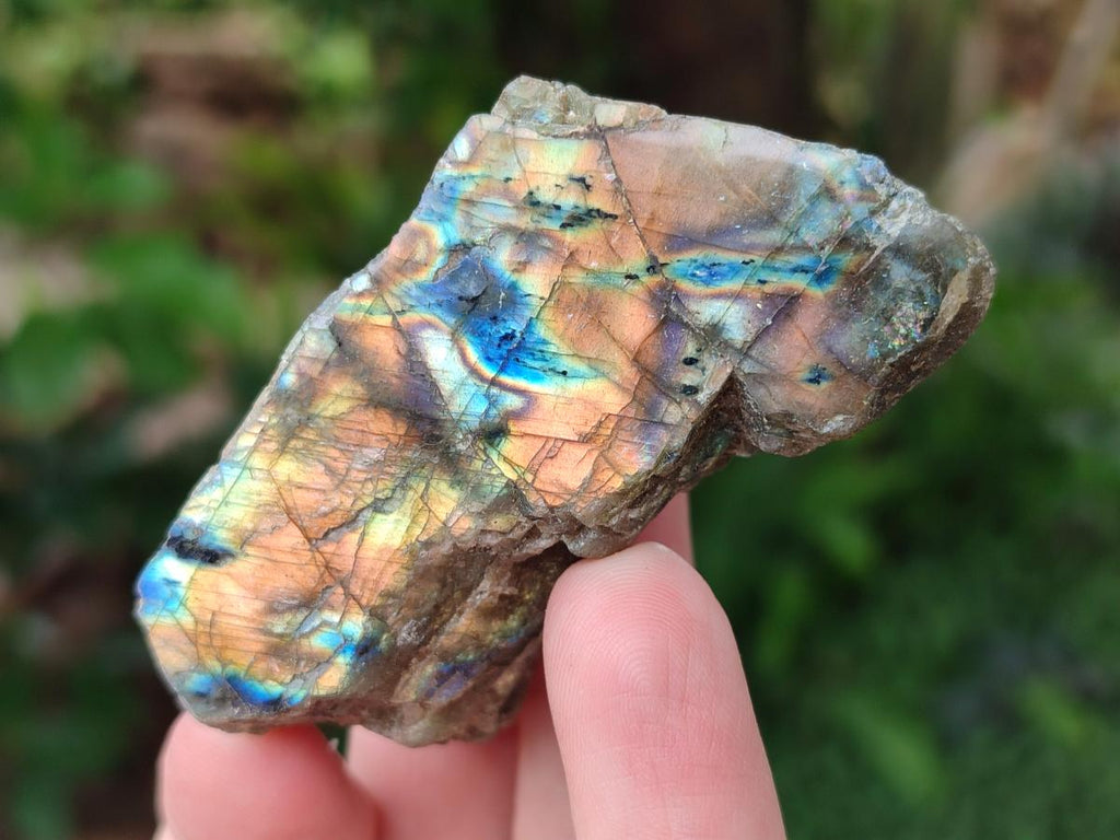 Polished One Side Labradorite Pieces x 24 From Madagascar - Toprock Gemstones and Minerals 