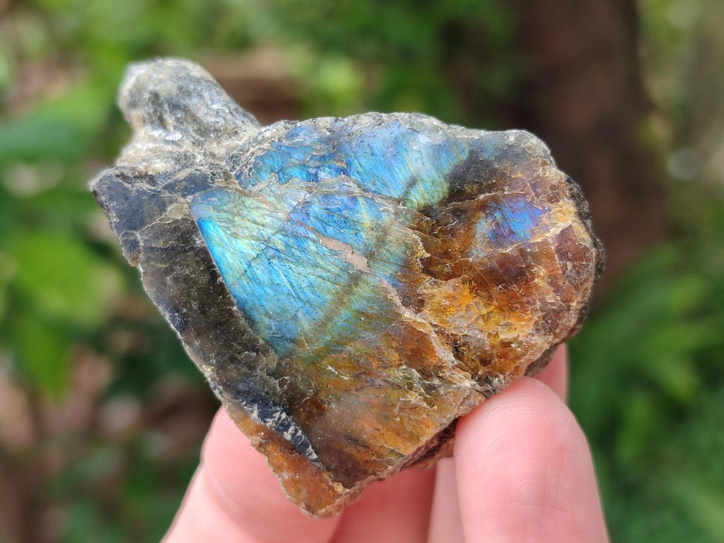 Polished One Side Labradorite Pieces x 24 From Madagascar - Toprock Gemstones and Minerals 