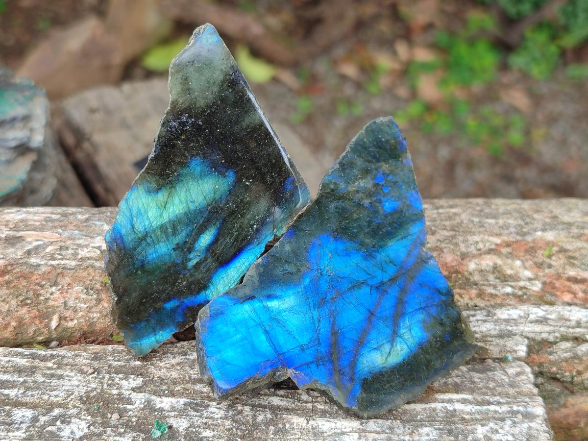 Polished One Side Labradorite Pieces x 24 From Madagascar - Toprock Gemstones and Minerals 