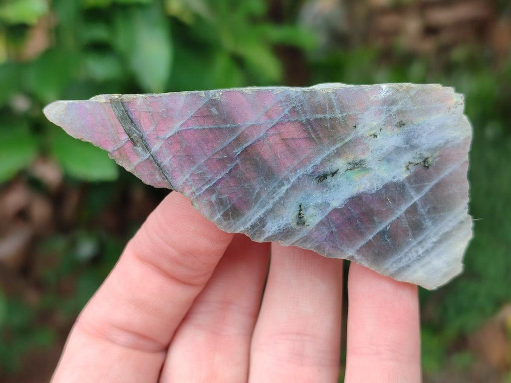 Polished One Side Labradorite Pieces x 24 From Madagascar - Toprock Gemstones and Minerals 