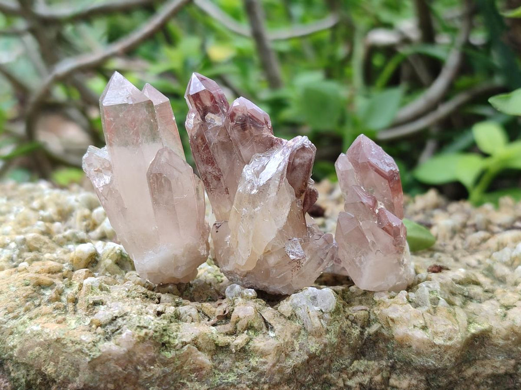 Natural Mini Red Hematoid Quartz Crystal Clusters x 70 From Karoi, Zimbabwe - Toprock Gemstones and Minerals 