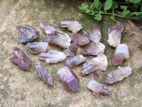 Natural Mini Red Hematoid Quartz Crystal Clusters x 70 From Karoi, Zimbabwe - Toprock Gemstones and Minerals 