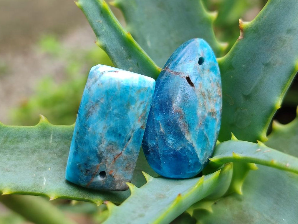 Polished Blue Apatite Pendant Free Forms with Drilled Holes x 20 From Betroka, Madagascar - Toprock Gemstones and Minerals 