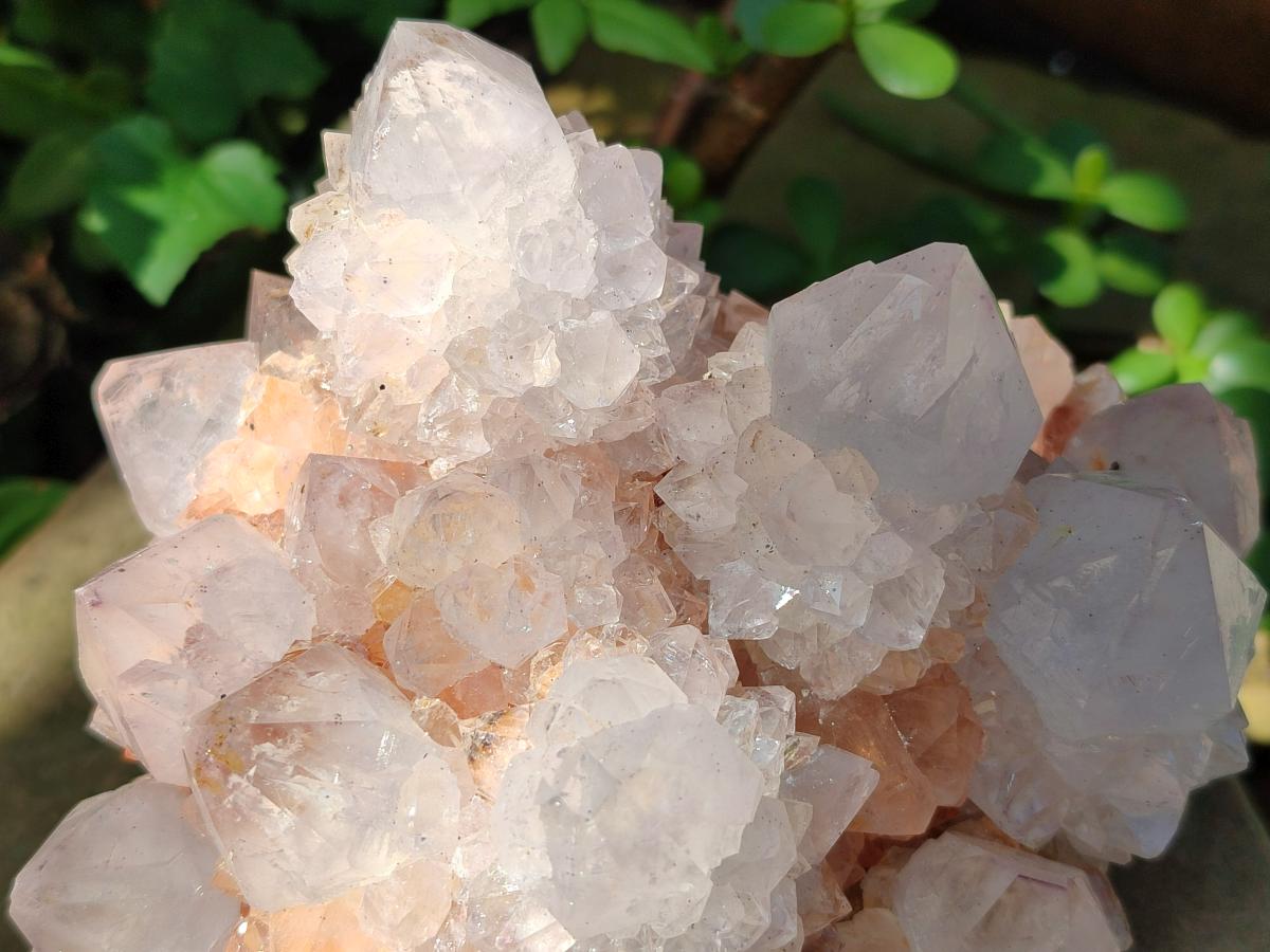 Natural Large Cactus Flower Lilac Amethyst Spirit Quartz Clusters x 2 From Boekenhouthoek, South Africa - Toprock Gemstones and Minerals 