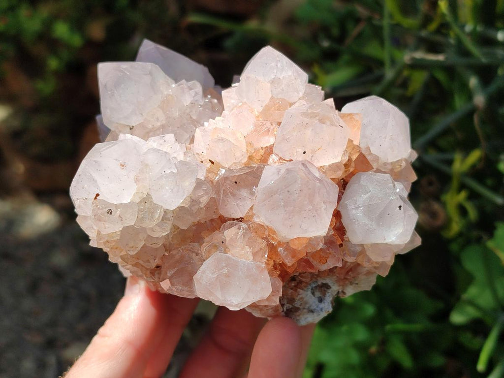 Natural Large Cactus Flower Lilac Amethyst Spirit Quartz Clusters x 2 From Boekenhouthoek, South Africa - Toprock Gemstones and Minerals 