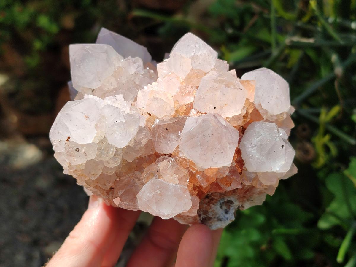 Natural Large Cactus Flower Lilac Amethyst Spirit Quartz Clusters x 2 From Boekenhouthoek, South Africa - Toprock Gemstones and Minerals 