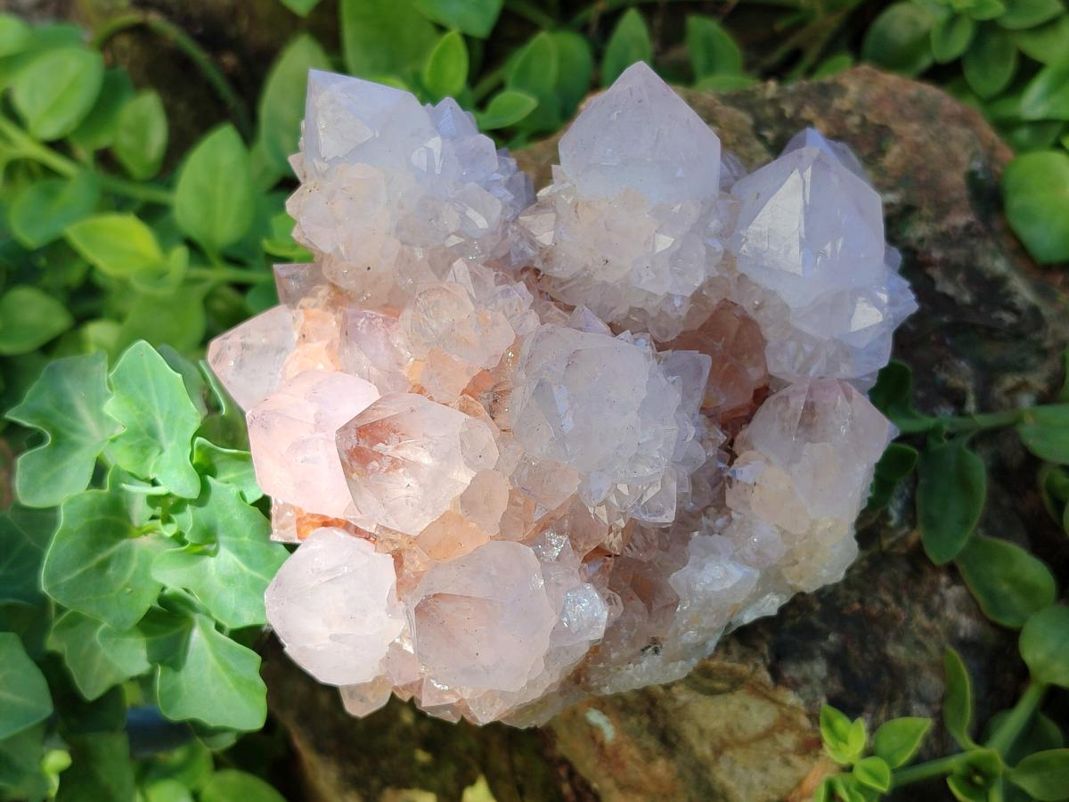 Natural Large Cactus Flower Lilac Amethyst Spirit Quartz Clusters x 2 From Boekenhouthoek, South Africa - Toprock Gemstones and Minerals 