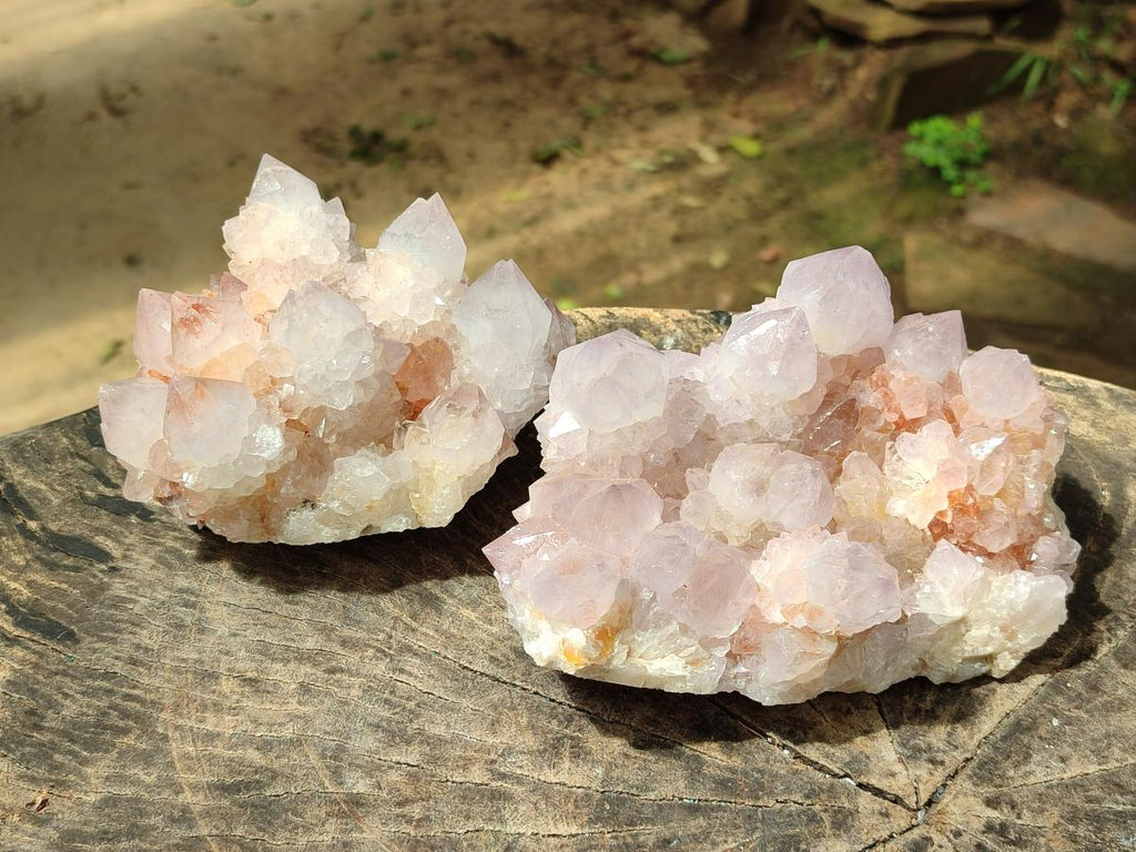Natural Large Cactus Flower Lilac Amethyst Spirit Quartz Clusters x 2 From Boekenhouthoek, South Africa - Toprock Gemstones and Minerals 