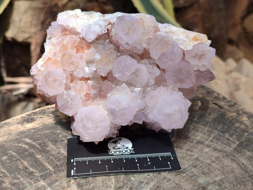Natural Large Cactus Flower Lilac Amethyst Spirit Quartz Clusters x 2 From Boekenhouthoek, South Africa - Toprock Gemstones and Minerals 