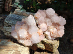 Natural Large Cactus Flower Lilac Amethyst Spirit Quartz Clusters x 2 From Boekenhouthoek, South Africa - Toprock Gemstones and Minerals 