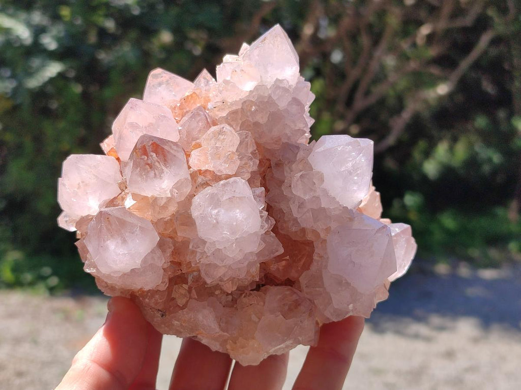 Natural Large Cactus Flower Lilac Amethyst Spirit Quartz Clusters x 2 From Boekenhouthoek, South Africa - Toprock Gemstones and Minerals 