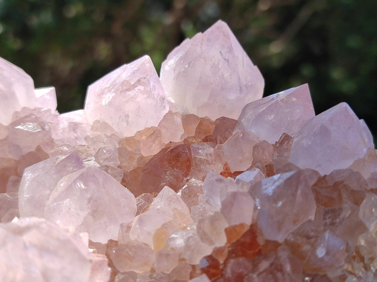 Natural Large Cactus Flower Lilac Amethyst Spirit Quartz Clusters x 2 From Boekenhouthoek, South Africa - Toprock Gemstones and Minerals 