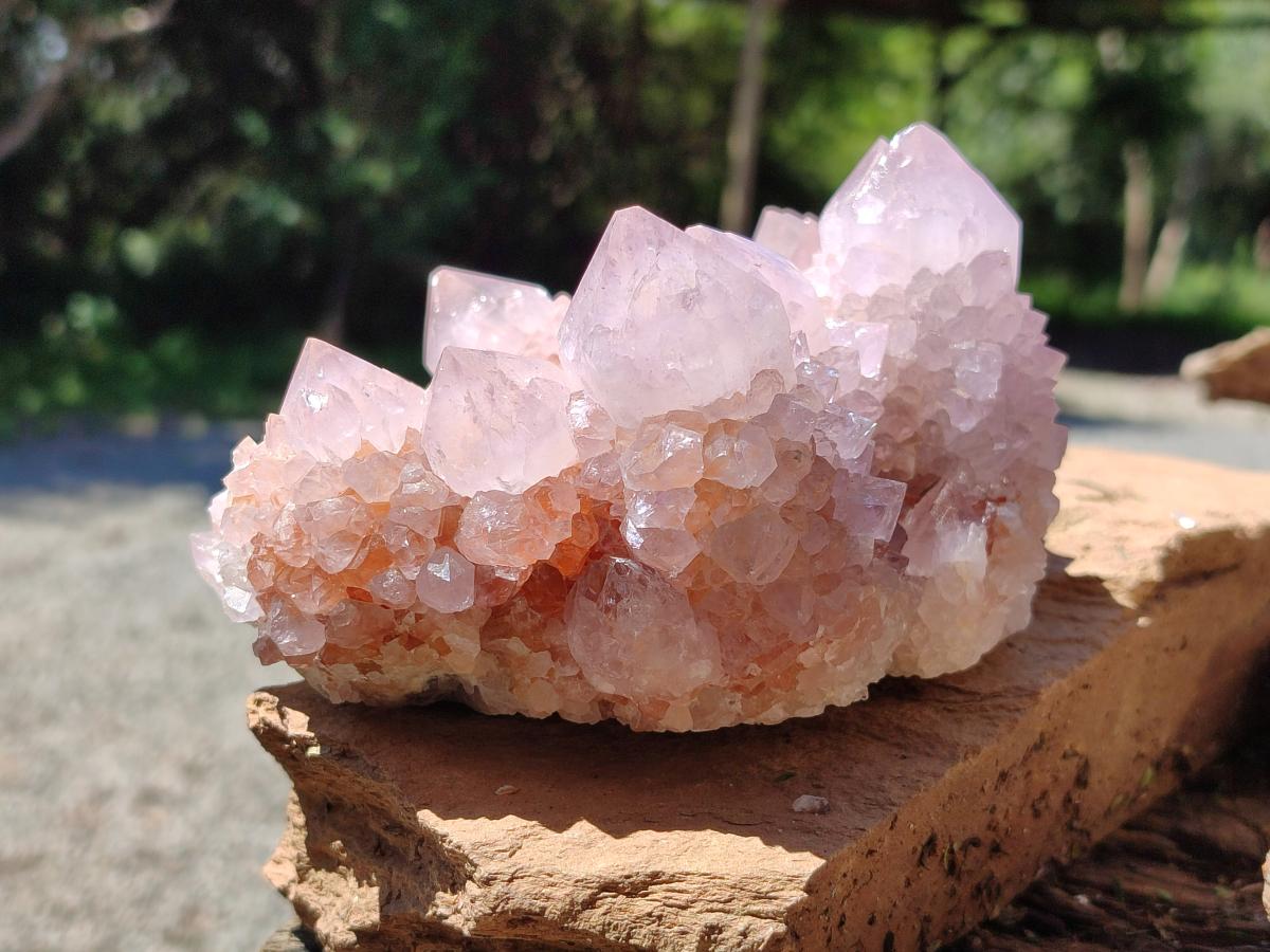Natural Large Cactus Flower Lilac Amethyst Spirit Quartz Clusters x 2 From Boekenhouthoek, South Africa - Toprock Gemstones and Minerals 