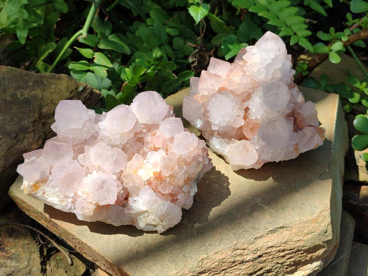 Natural Large Cactus Flower Lilac Amethyst Spirit Quartz Clusters x 2 From Boekenhouthoek, South Africa - Toprock Gemstones and Minerals 
