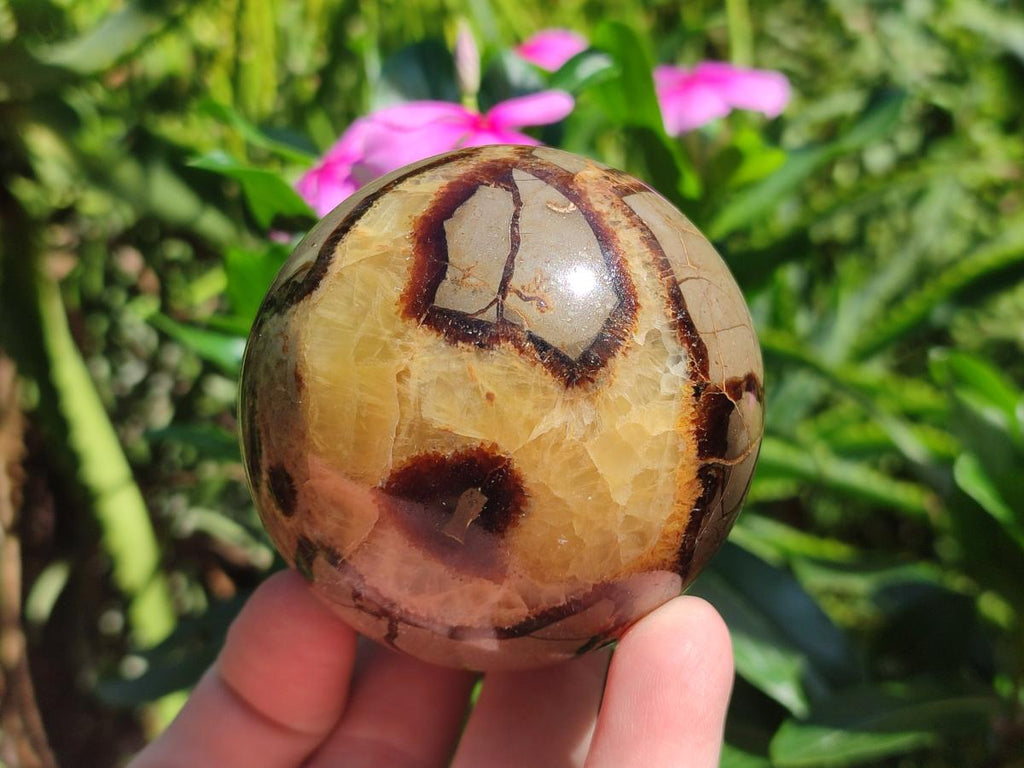 Polished Septerye Spheres x 4 From Mahajanga, Madagascar - Toprock Gemstones and Minerals 