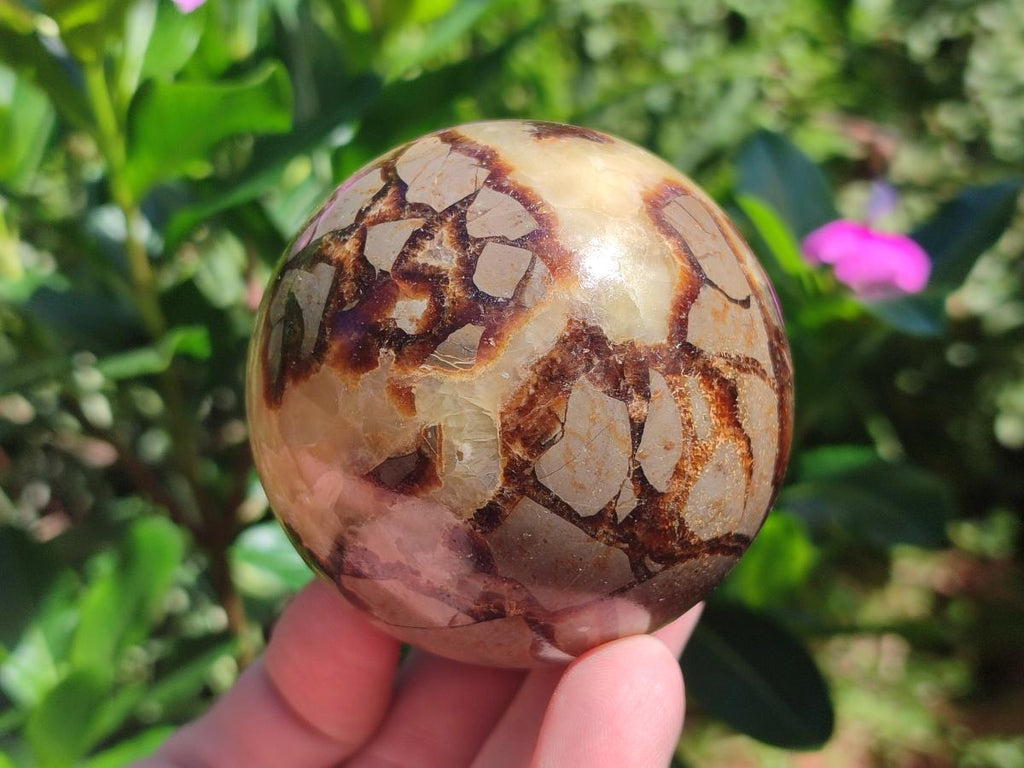 Polished Septerye Spheres x 4 From Mahajanga, Madagascar - Toprock Gemstones and Minerals 