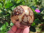 Polished Septerye Spheres x 4 From Mahajanga, Madagascar - Toprock Gemstones and Minerals 