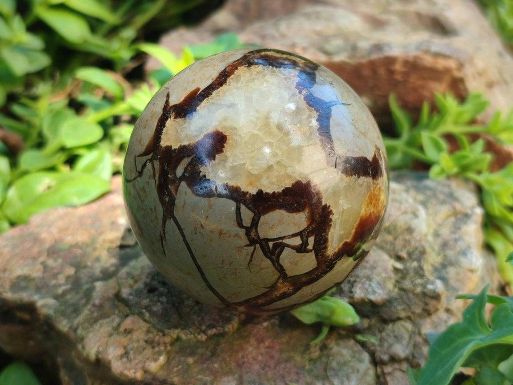 Polished Septerye Spheres x 4 From Mahajanga, Madagascar - Toprock Gemstones and Minerals 
