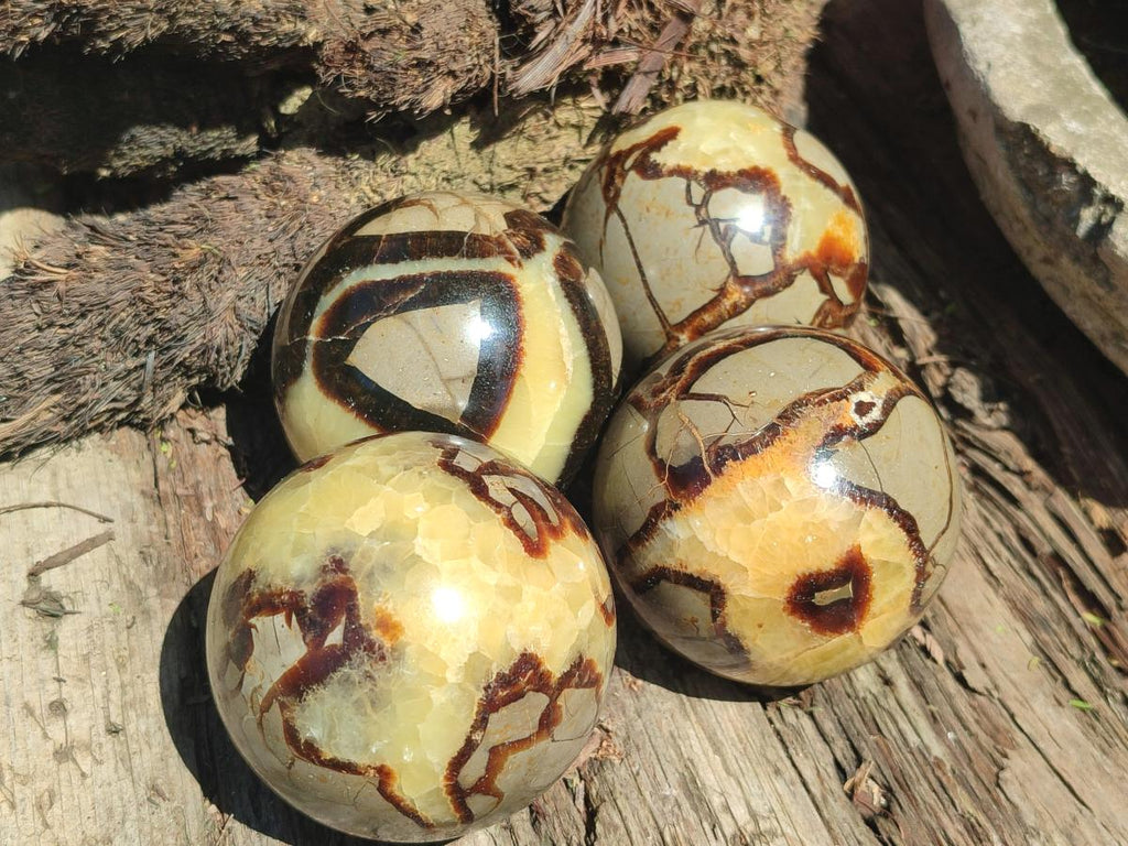 Polished Septerye Spheres x 4 From Mahajanga, Madagascar - Toprock Gemstones and Minerals 