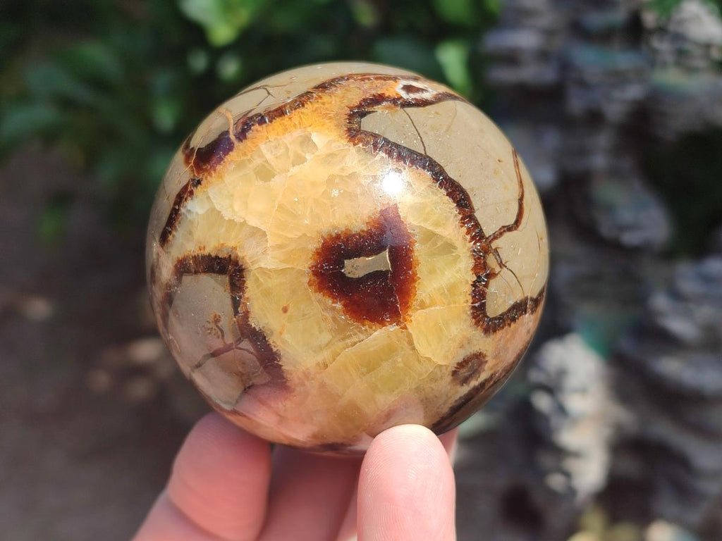 Polished Septerye Spheres x 4 From Mahajanga, Madagascar - Toprock Gemstones and Minerals 