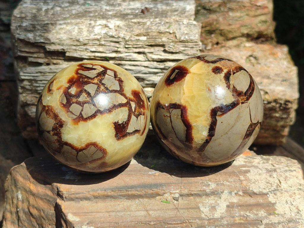 Polished Septerye Spheres x 4 From Mahajanga, Madagascar - Toprock Gemstones and Minerals 