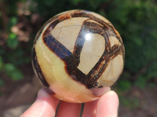 Polished Septerye Spheres x 4 From Mahajanga, Madagascar - Toprock Gemstones and Minerals 